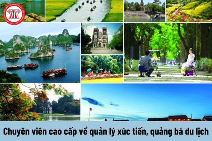 Kiếm Tiền Triệu Đô Từ Video Ngắn Cùng Hotspot Matrix
