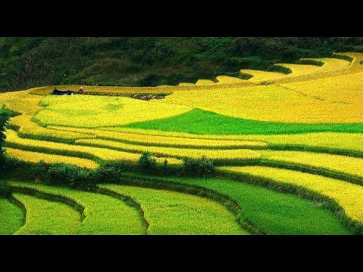 Hotspot Matrix: Đòn bẩy thành công cho Freelancer trong lĩnh vực Video Ngắn