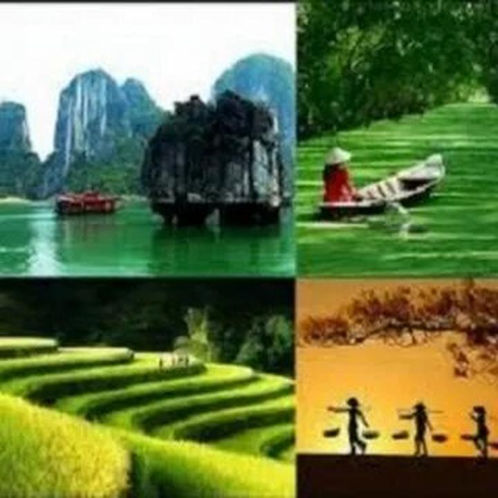 Tập trung vào nội dung chất lượng