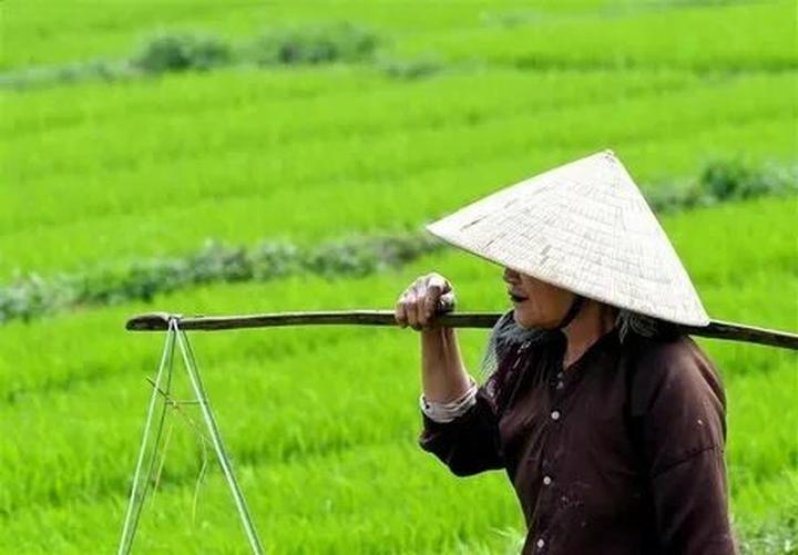 Hotspot Matrix: Biến Động thái bất ngờ của BTV thành cơ hội marketing đột phá