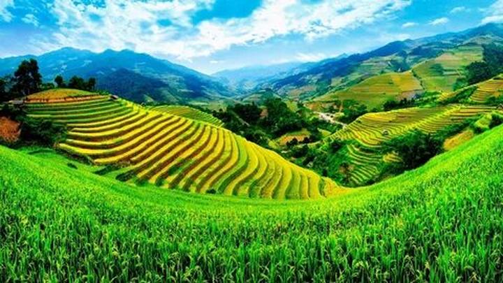 Từ Triệu Lộ Tư cắt phăng mái tóc đến chiến lược content: Hotspot Matrix chia sẻ